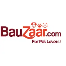 Bauzaar
